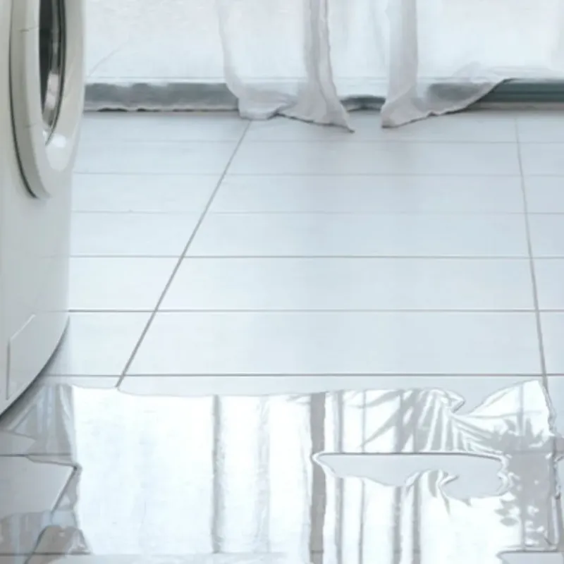 Appliance Leak Cleanup in Clarke County, MS
